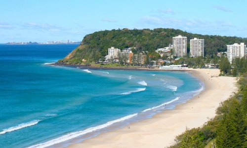 can you take dogs to burleigh beach