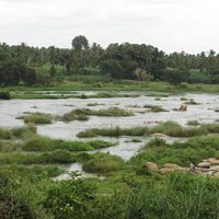 View of Cauvery