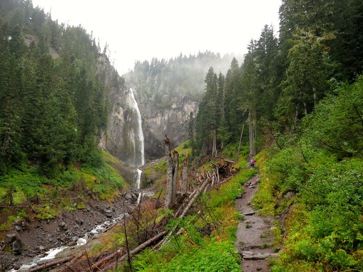 Mount Rainier Hikes: Best Trails and Everything You Need to Know - Explore  with Alec