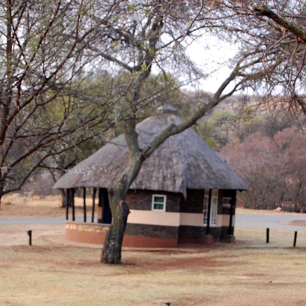 Krugersdorp Game Reserve 2021 All You Need To Know Before You Go