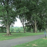 pecan grove