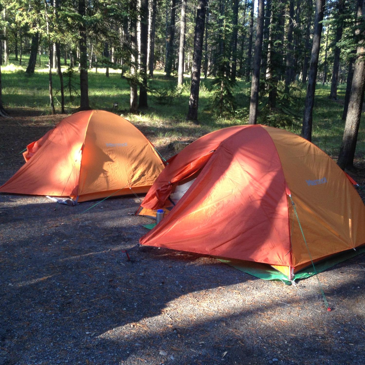 Tunnel mountain campground hotsell