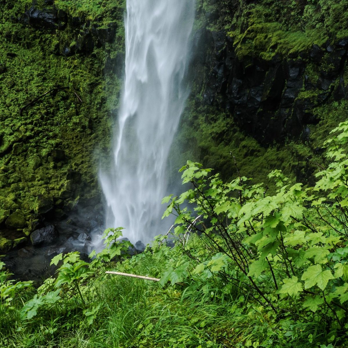 Watson Falls, Idleyld Park: лучшие советы перед посещением - Tripadvisor