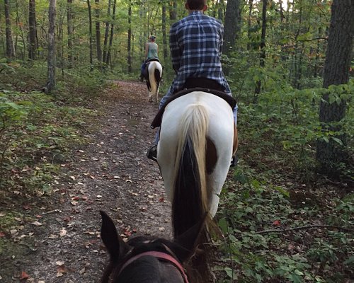 horseback riding tours virginia