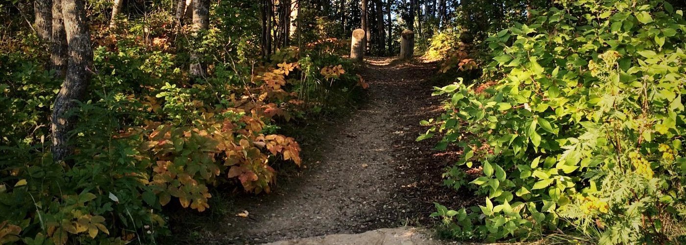 Lots of well worn paths leading down to the lake.
