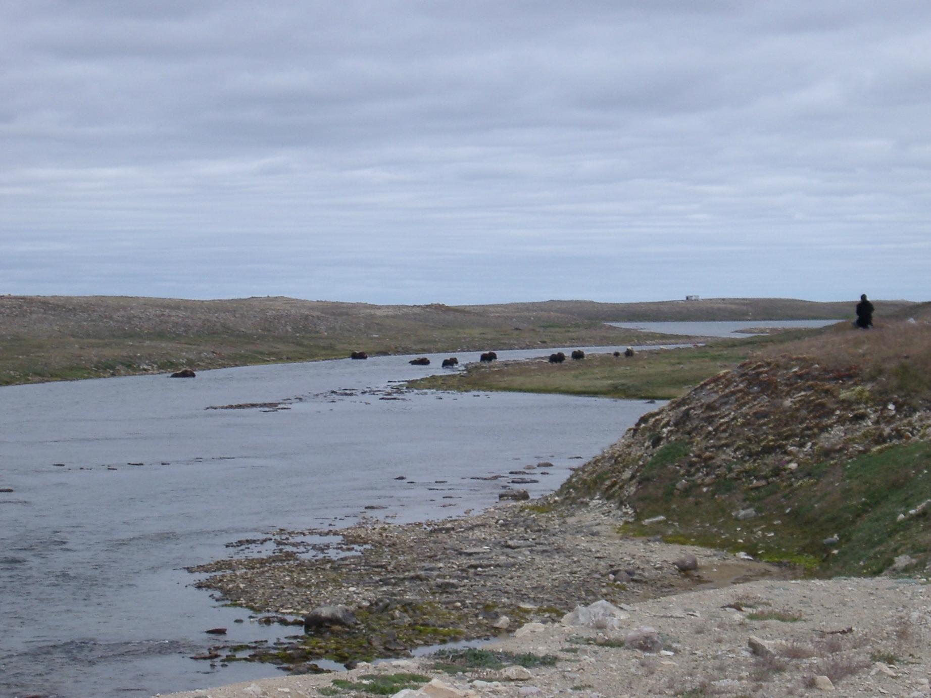 Cambridge Bay Tourism 2021: Best Of Cambridge Bay, Nunavut - Tripadvisor