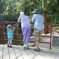 Looking at some ducks!
