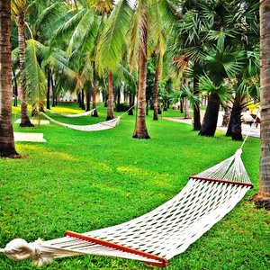 Exterior - Tropical Coconut Garden