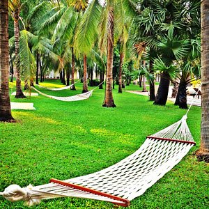 Exterior - Tropical Coconut Garden