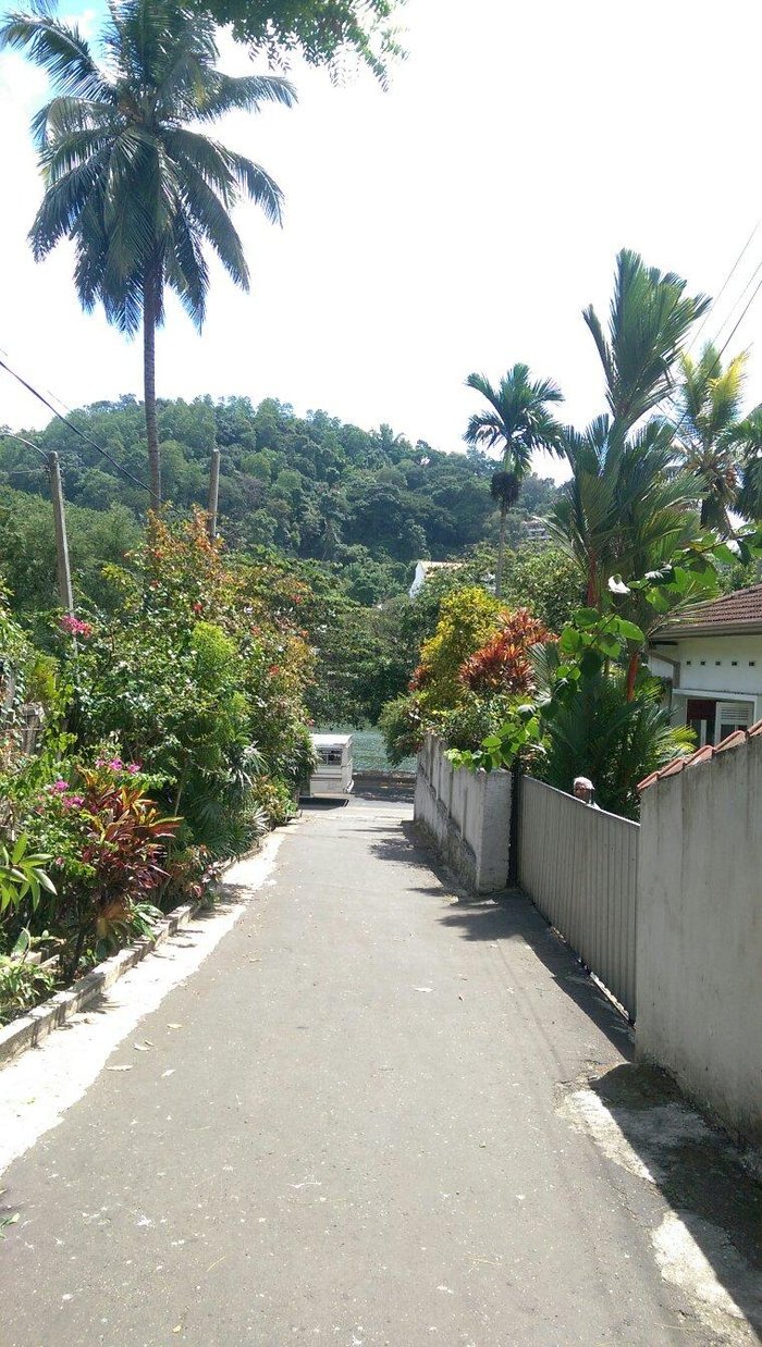 Lake bungalow kandy