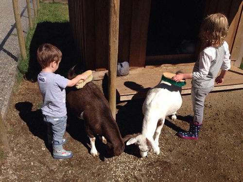 THE 10 BEST Vancouver Island Farms (with Photos) - Tripadvisor THE 10 BEST Vancouver Island Farms (with Photos) - Tripadvisor
