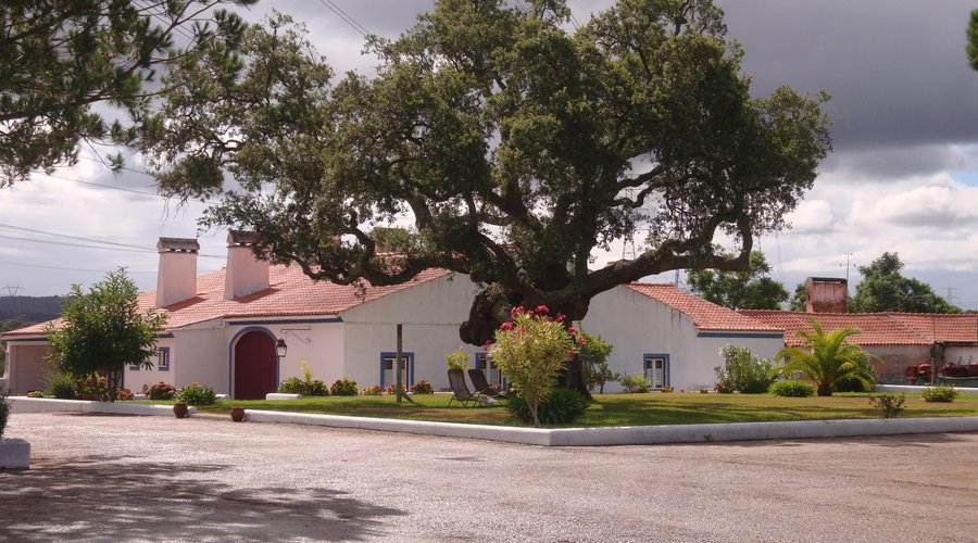 Panorâmica da herdade
