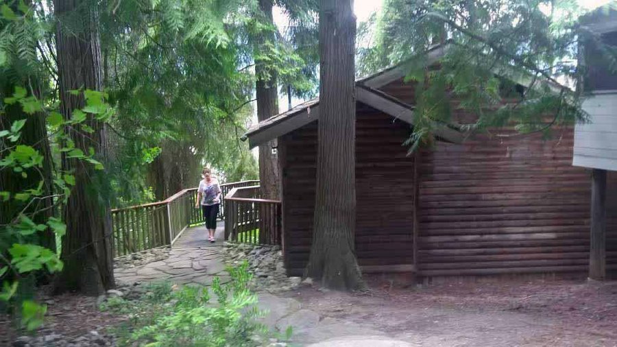 One of many cabins
