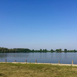 Top 11 Things to See and Do in Forest Park in St. Louis