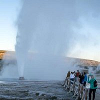 Beehive Geyser in Early Morning Action