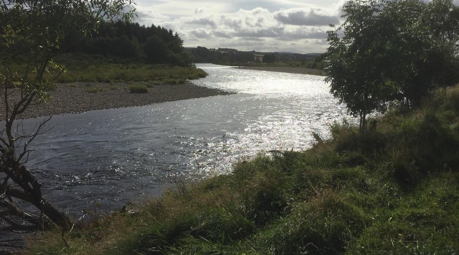The Beautiful Dee near Milltimber looking upstream