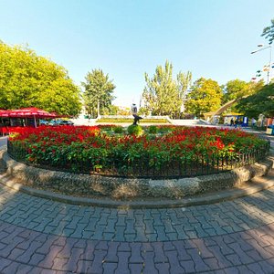 В Ростове на Крещение вход в ботанический сад сделают бесплатным