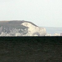 IOW's Polar bear