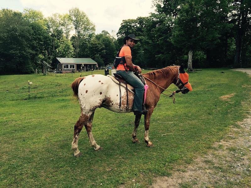 Adventure Horse Riding in NYS image