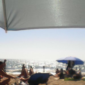 Mare e altri ospiti del b&b