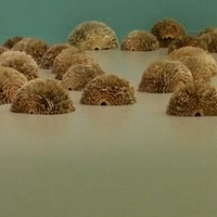 Talented British artist Julie Dodd at CODA