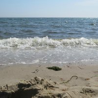 Harding Beach (Chatham) - All You Need to Know BEFORE You Go