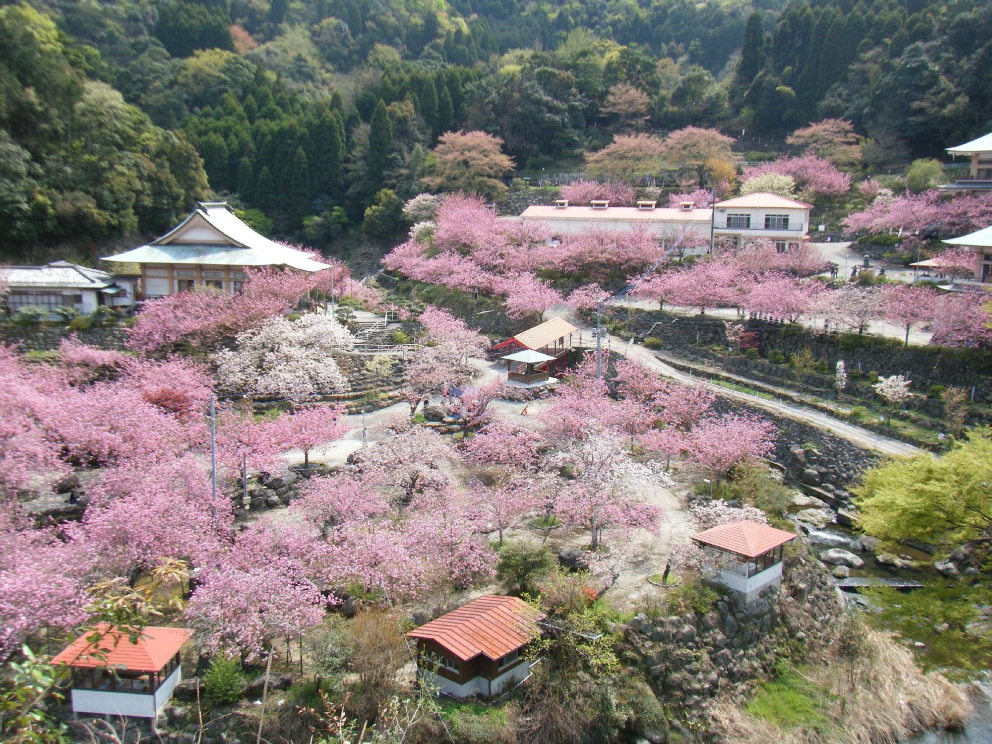 一心寺 コレクション ベビーカー