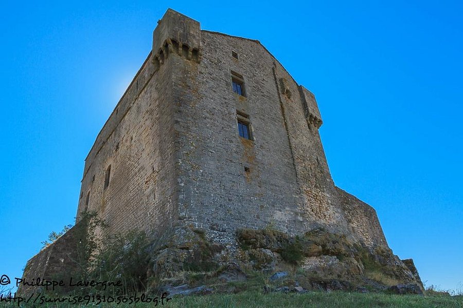 Castle of Montaigut image
