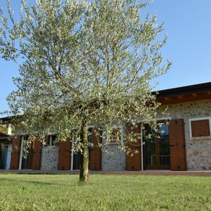 giardino anteriore