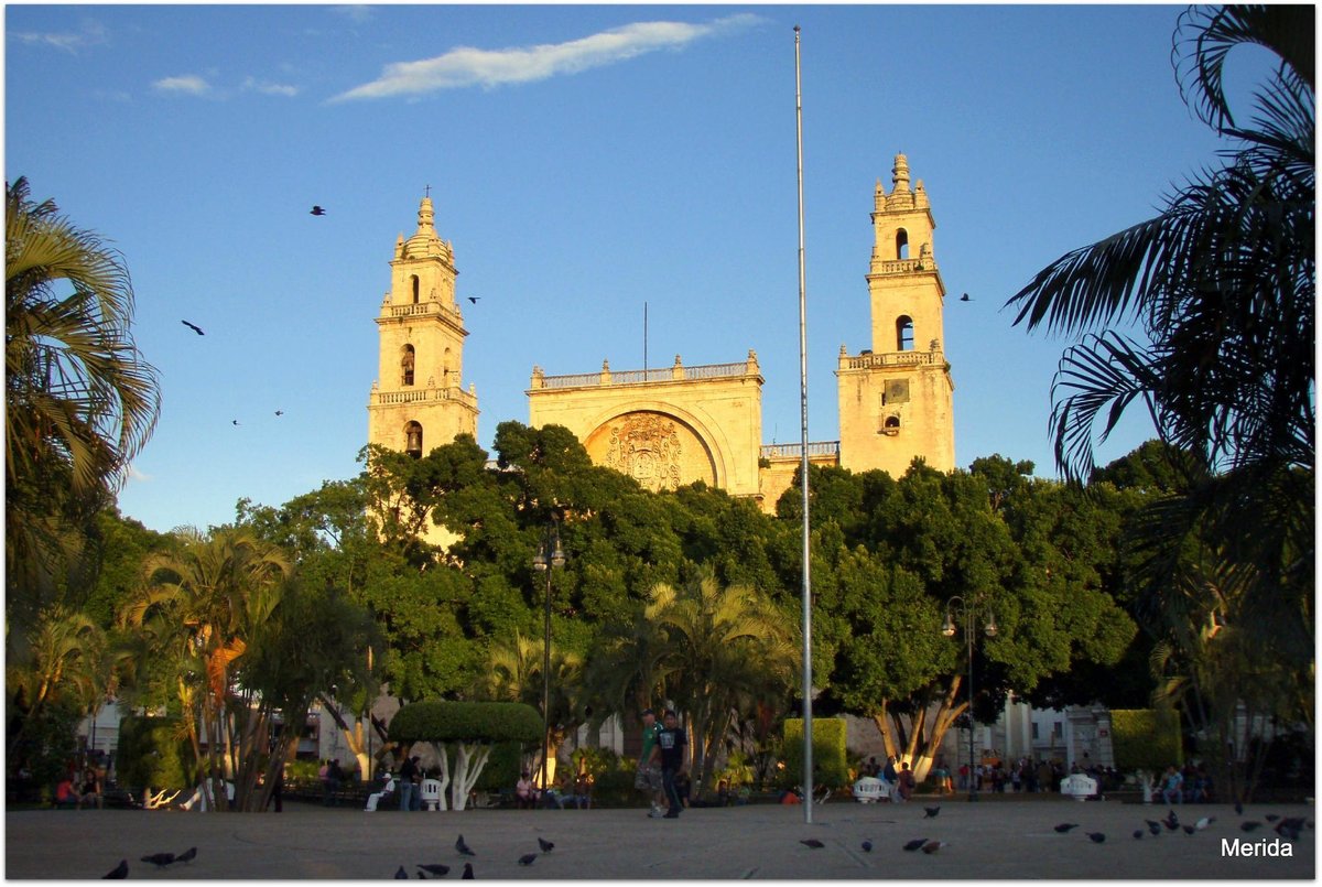 cathedral-de-m-rida-merida