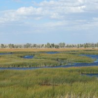 Seedskadee National Wildlife Refuge - All You Need to Know BEFORE You ...