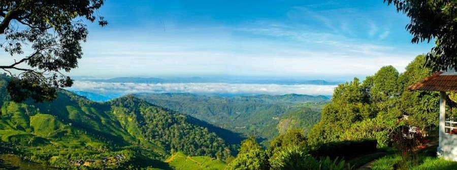 Valley View