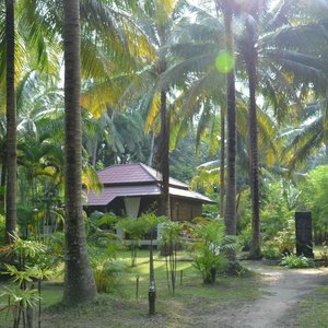 Chalimar et son jardin exotique