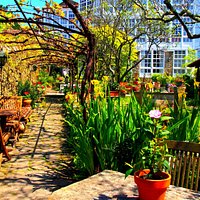 Primavera