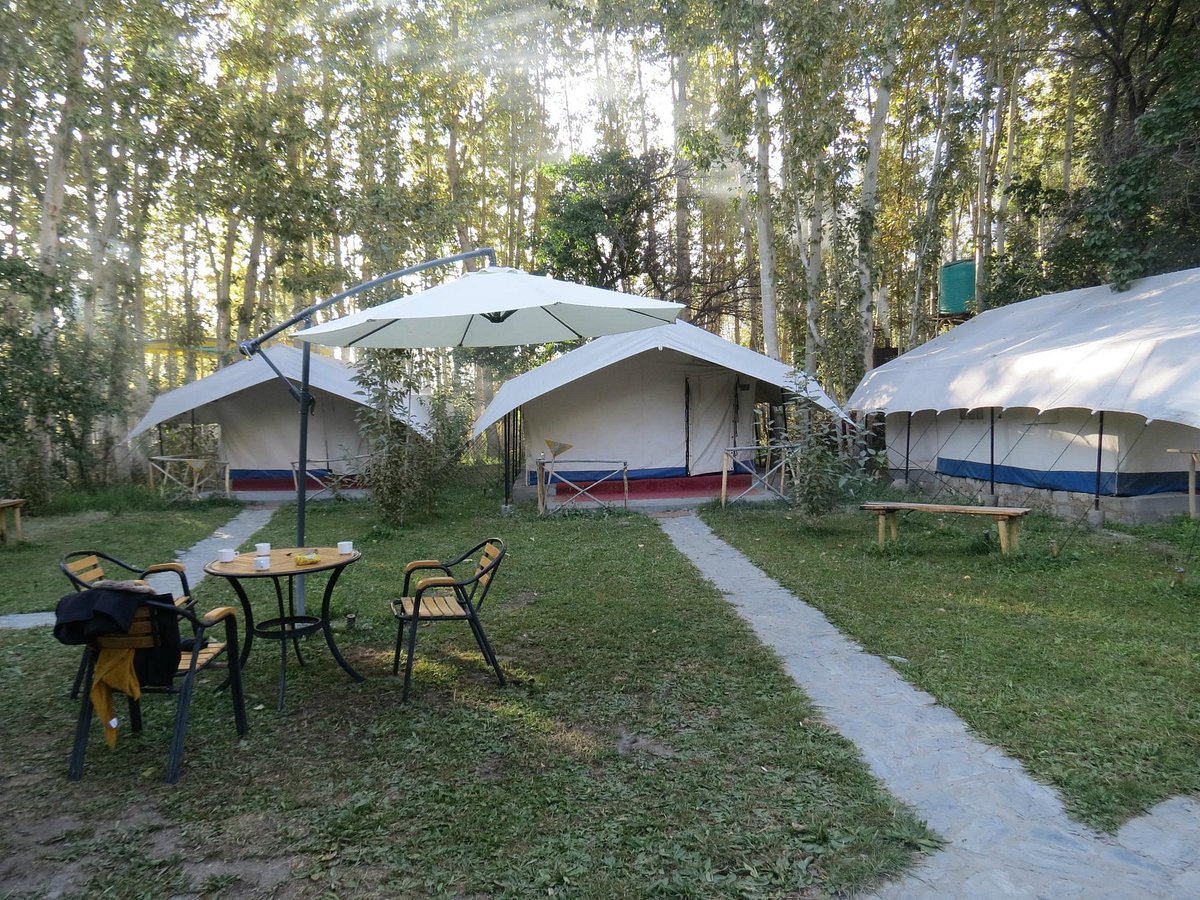 NUBRA ORGANIC RETREAT - Prices & Campground Reviews (Hunder, India)