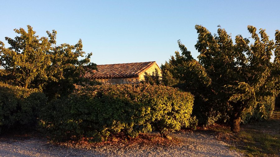 Notre gîte bien isolé derrière la végétation