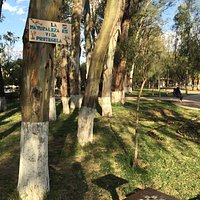 Apacible, al lado de la avenida pero sueldo del ruido. Ideal para el entretenimiento familia, ju