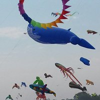 Kites Over Lake Michigan