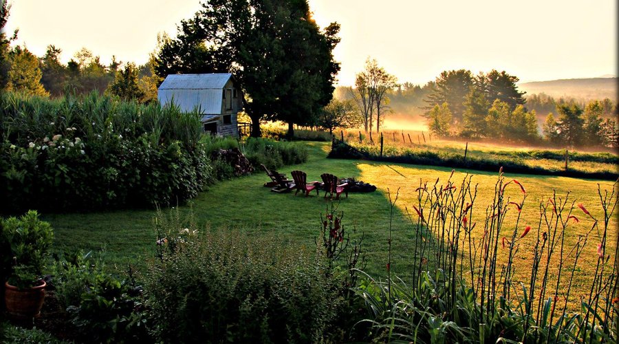 early misty morning view from back deck/veranda