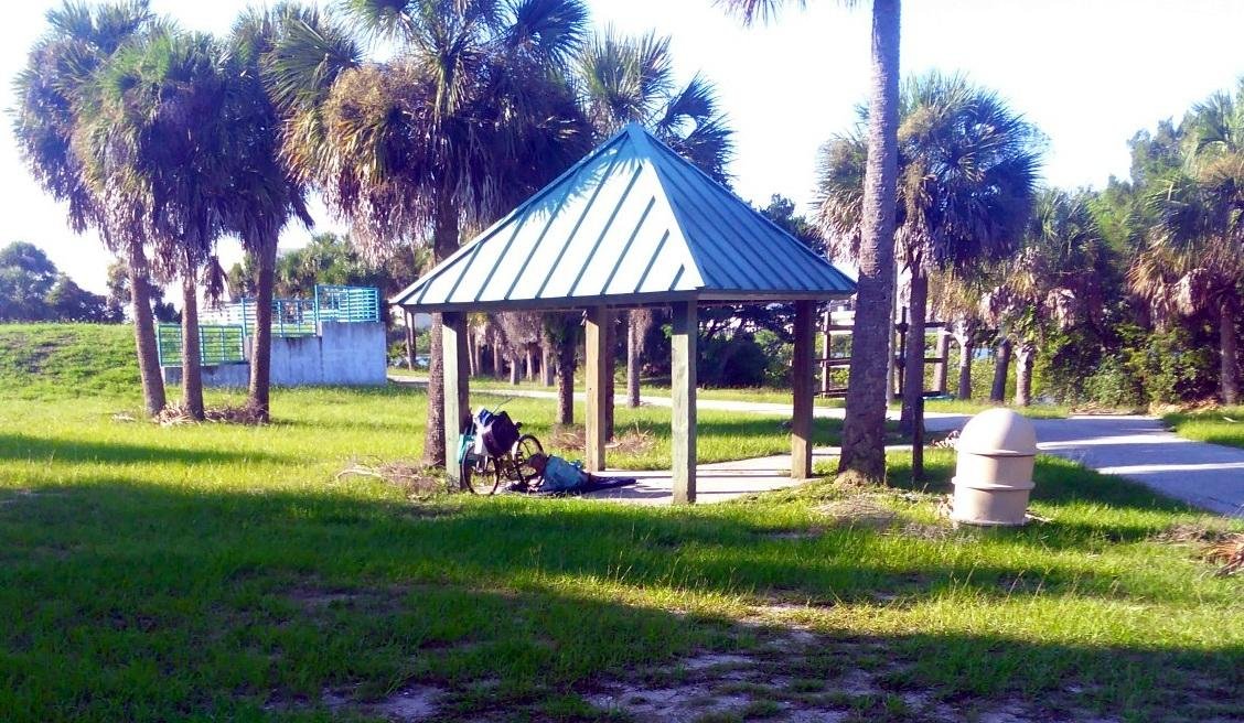 MANATEE ISLAND (Daytona Beach): Ce qu'il faut savoir pour votre visite ...