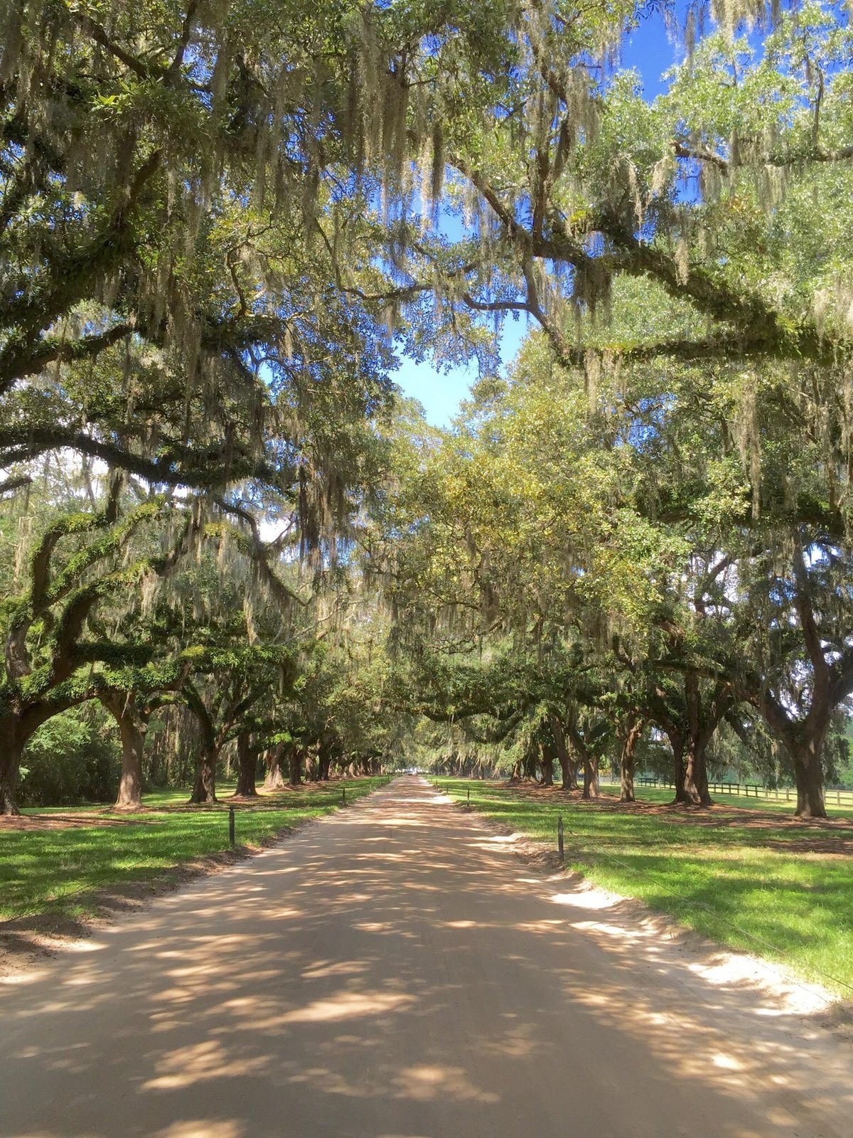 BOONE HALL PLANTATION, Mount Pleasant - Restaurant Reviews, Photos ...