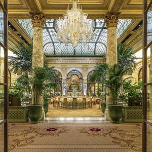 The Plaza New York - A Fairmont Managed Hotel in New York City, image may contain: Chandelier, Lamp, Plant, Indoors