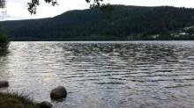 View from the campsite.