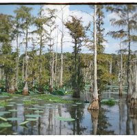 Black Bayou Lake National Wildlife Refuge - All You Need to Know BEFORE ...