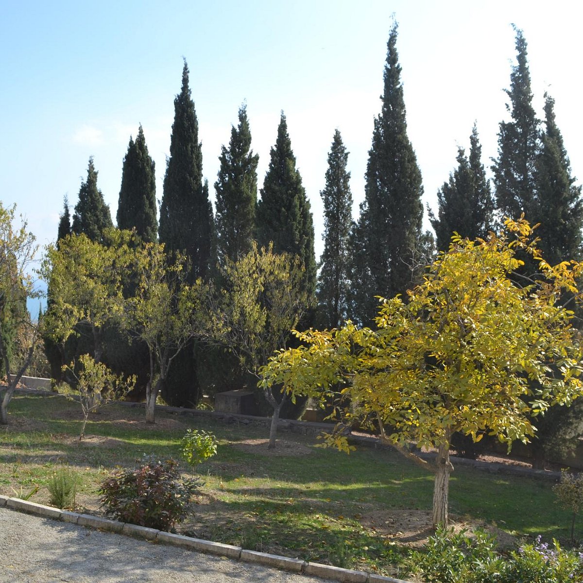 Литературно-мемориальный музей С.Н. Сергеева-Ценского, Алушта - Tripadvisor