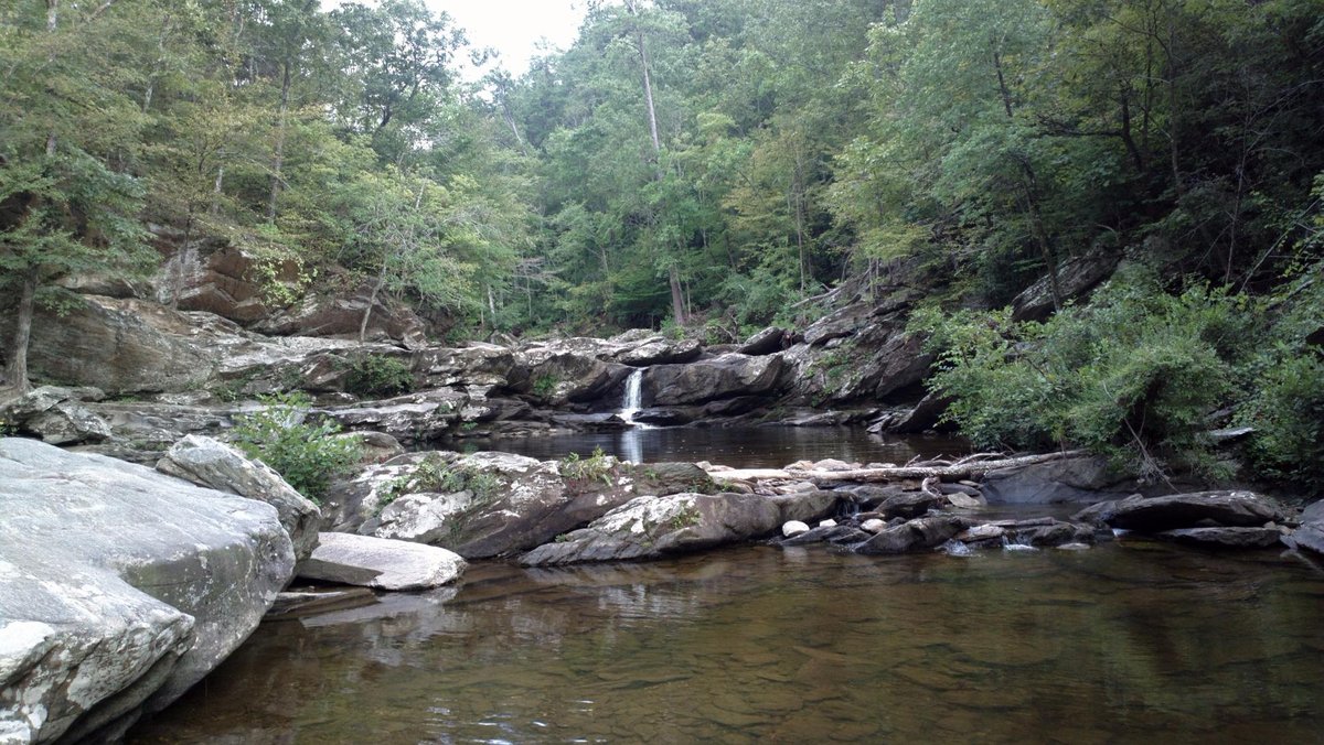 Talladega National Forest (Childersburg) - All You Need to Know BEFORE 