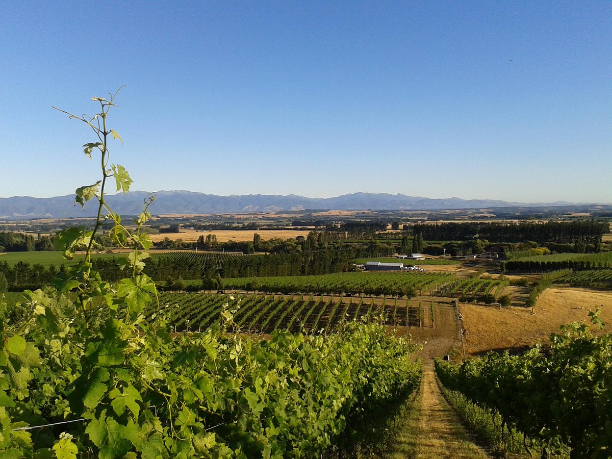 wine tours in martinborough