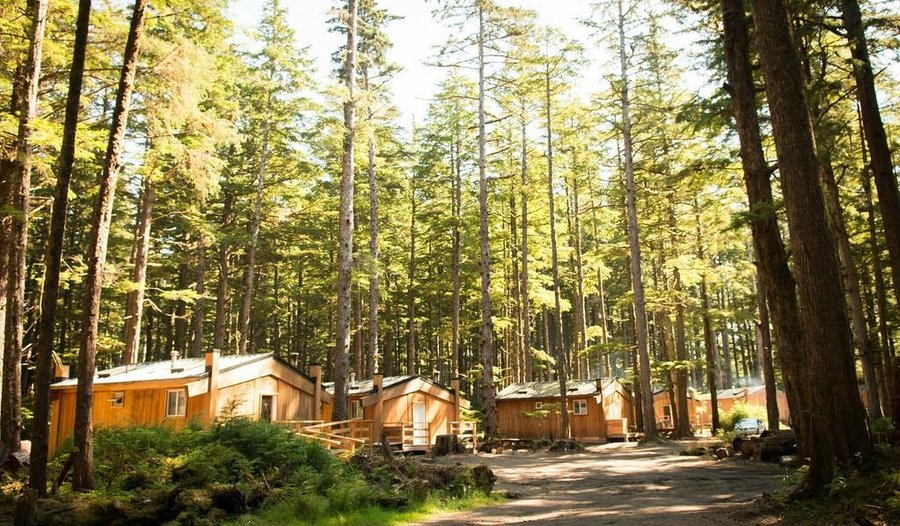 Small longhouses at Hiellen Village Longhouses, Tow Hill Haida Gwaii- (Photo credit: Jason Shafto)