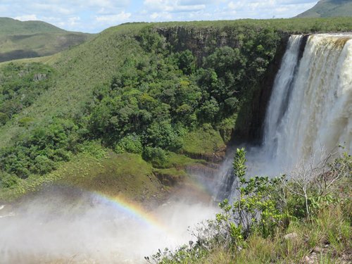 Uma floresta encantada numa ilha no Japão - Mundo - SAPO Viagens