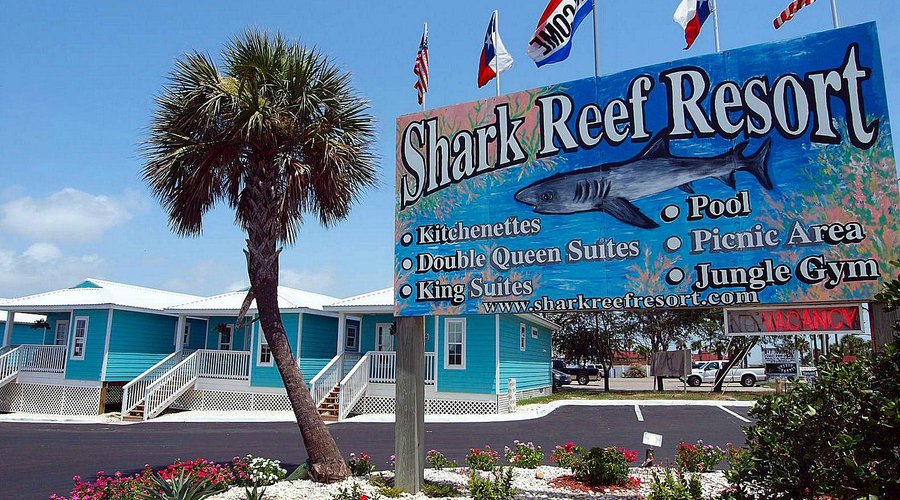 Welcome to the Shark Reef Resort